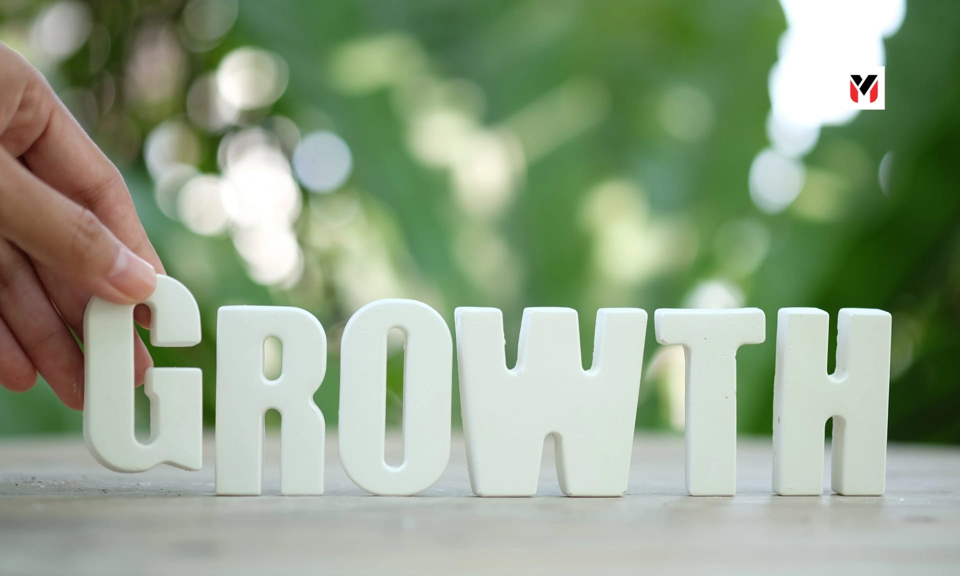 Revenue growth to profit conversion test analysis illustration